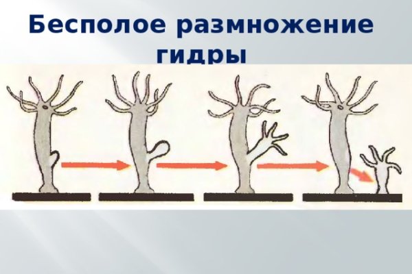 Кракен сайт даркнет официальный