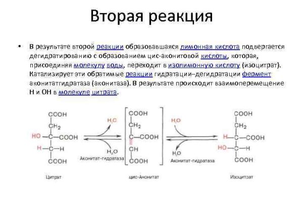 2krn x