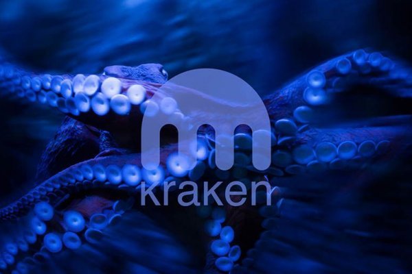 Kraken kraken link24 info