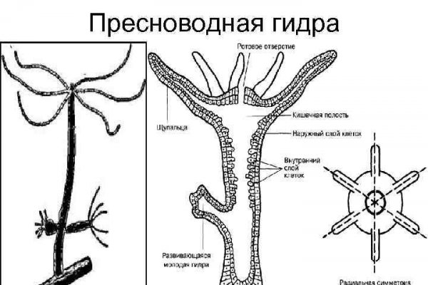 Кракен маркетплейс зеркало krk market com